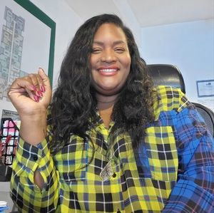 Plaid sheer long sleeve top